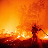 Wildfires, like this one in Madera County, California, are just one of an array of threats that are getting worse because of climate change (Picture: Josh Edelson/AFP via Getty Images)