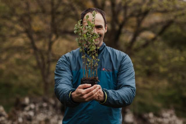 Future Forest Company founder Jim Mann holds up a sapling, one of 300,000 new native trees due to be planted at Dumyat estate, close to the historic Bannockburn battlefield and the city of Stirling. Picture: Jen Scott