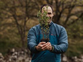 Future Forest Company founder Jim Mann holds up a sapling, one of 300,000 new native trees due to be planted at Dumyat estate, close to the historic Bannockburn battlefield and the city of Stirling. Picture: Jen Scott