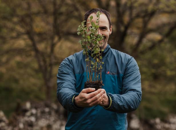 Future Forest Company founder Jim Mann holds up a sapling, one of 300,000 new native trees due to be planted at Dumyat estate, close to the historic Bannockburn battlefield and the city of Stirling. Picture: Jen Scott