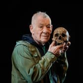 Sir Ian McKellen  (Photo by Gareth Cattermole/Getty Images)