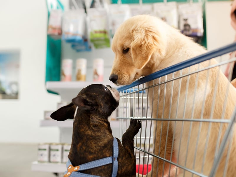 Whilst local stores, such as Tesco Express or Sainsbury’s Local can be convenient, research from Which? found that it costs an average of 9.5 per cent more to shop at local stores than it does to at bigger supermarkets. As it can cost up to £400 per year to buy pet food, this potential saving of almost £40 is quite significant should you switch to bigger supermarkets.