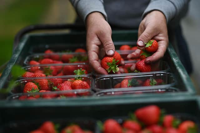 Soft fruit growers are facing some tough choices