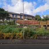 In a fit of optimism during the Covid lockdown, I put my name down for an allotment.