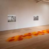 Installation view of the Zarina Bhimji exhibition at the Fruitmarket PIC: Ruth Clark