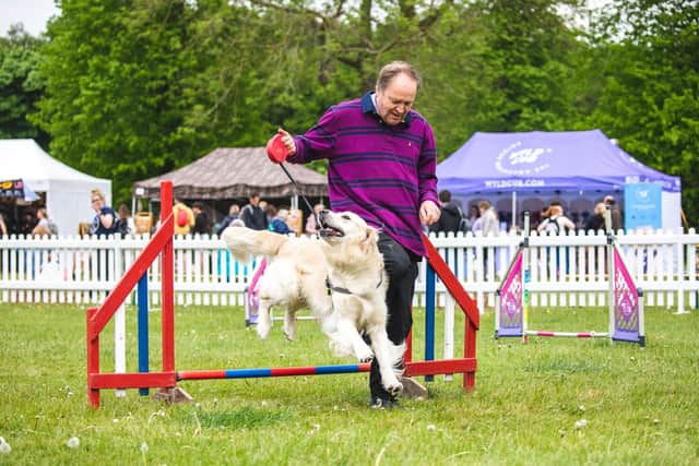 DogFest is back – it’s the festival your hound will love