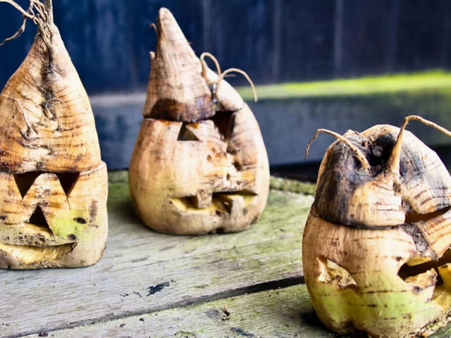 If you have a handful of wee turnips rather than a big one then worry not, with a bit of carving effort your mini hoard of ominous turnips can look far more chilling than one turnip sitting on its own.