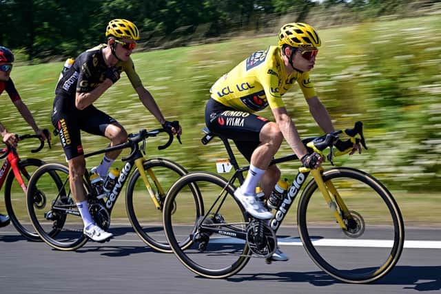 Take home the yellow jersey in Tour de France 2023 and Pro Cycling Manager  2023