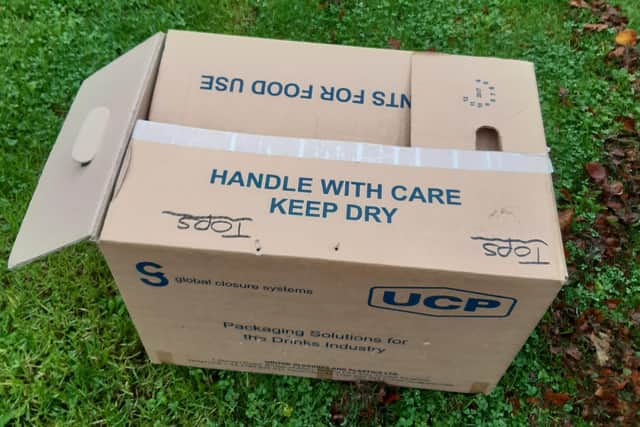 The box in which the kittens were found.