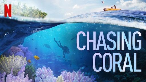 Chasing Coral looks at some of the world's most incredible natural wonders - while signalling the dangers that threaten its existence.