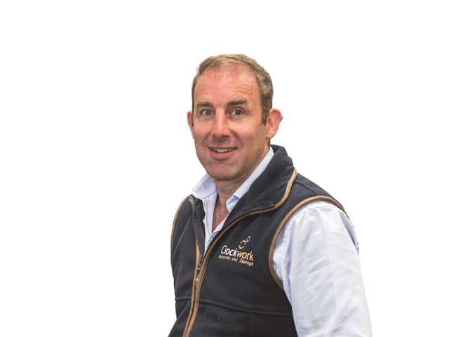 Courtenay Morison, chairman of Clockwork Removals and Storage. Photo by Phil Wilkinson