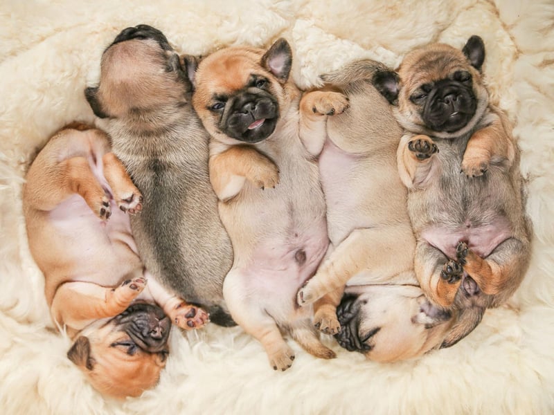 A real gem of a name, Ruby takes sixth spot in our list. It comes from the Latin word for red - ruber - and means 'deep red precious stone'.