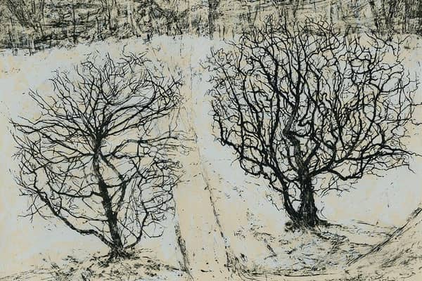 Stillness, by Victoria Crowe PIC: Scottish Gallery