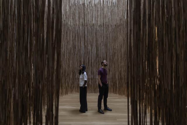 Andy Goldsworthy: Skylight
