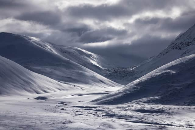 The photographer often heads out in harsh winter conditions to capture a unique shot of nature at her best (pic: Ed Smith)