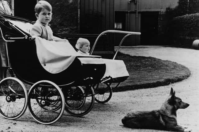 The young Prince Charles (left) and Princess Anne sitting in their prams, next to one of their mother's corgis, listening to the music of the Argyll and Sutherland Highlanders during a holiday at Birkhall, on the Deeside, Scotland, August 25th 1951.  (Photo by Fox Photos/Hulton Archive/Getty Images)