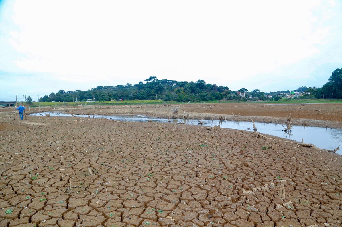 Is climate change driving Brazil's drought chaos?