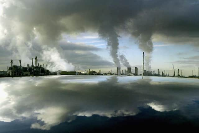 The drive to net-zero carbon emissions will be helped by planting trees and restoring peatland (Picture: Christopher Furlong/Getty Images)