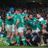 Ireland overcame Scotland 17-13 in Dublin to secure the Six Nations title.