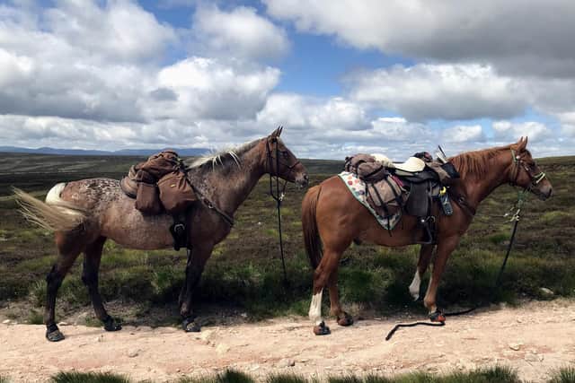 Yogi and Swift kitted out and ready for a ride. Claire practices a form of natural horsemanship so neither wear metal bits or horse shoes. They are kitted with head collars and wear special socks to protect their feet on long rides picture: Claire Alldritt