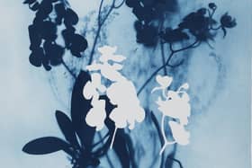 Detail from Ghost Orchid (Blue) II by Wendy McMurdo PIC: Courtesy of the RSA