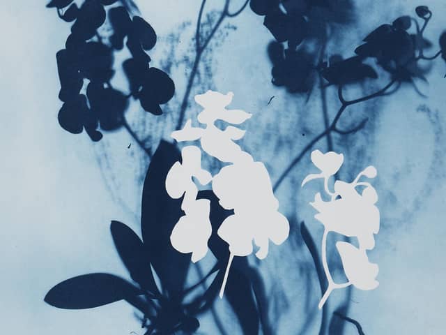 Detail from Ghost Orchid (Blue) II by Wendy McMurdo PIC: Courtesy of the RSA