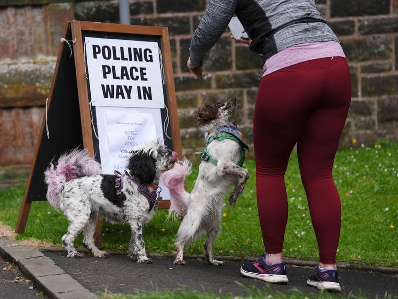 Dogs outside the polling station Pollokshields Burgh Halls in Glasgow