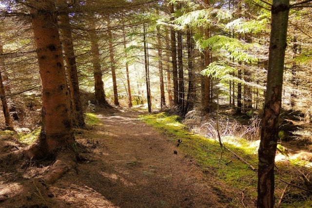 The Perthshire woodland of Tay Forest Park covers 170 square kilometres and contains one of Scotland's most spectacular vistas - Queen's View. In Allean Forest visitors can explore an 18th century farmstead and ruined Pictish ring fort.
