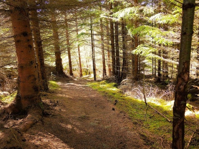 The Perthshire woodland of Tay Forest Park covers 170 square kilometres and contains one of Scotland's most spectacular vistas - Queen's View. In Allean Forest visitors can explore an 18th century farmstead and ruined Pictish ring fort.