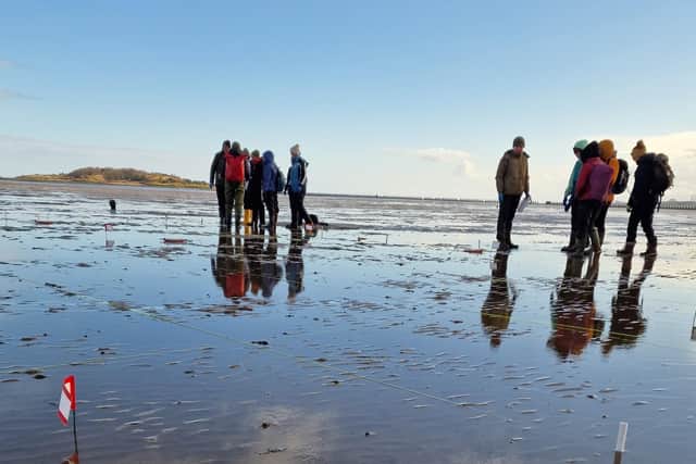 Volunteers at Dalmeny Drum Sands (Pic: Rosslyn Barr)