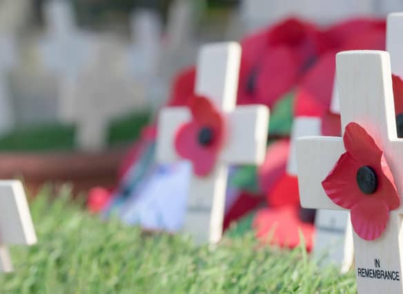 Red poppies might be the most common colour for Remembrance Sunday poppies, but there are other colours with different meanings as well. Photo: Sterling750 / Getty Images / Canva Pro.