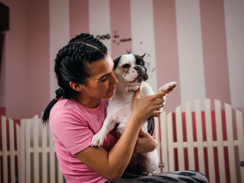 Frenchies were originally bred to sit on lace makers' laps to keep them warm at work - so they were actually bred to cuddle. This innate need for human contact - particularly with their owners - hasn't left this snuggliest of breeds.