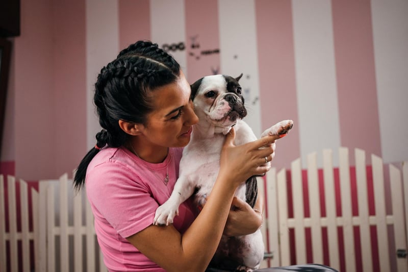 Frenchies were originally bred to sit on lace makers' laps to keep them warm at work - so they were actually bred to cuddle. This innate need for human contact - particularly with their owners - hasn't left this snuggliest of breeds.