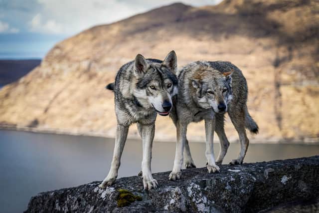 Bella and Kai pose with the Cuillin ridge as a stunning backdrop