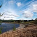 Galloway Forest Park