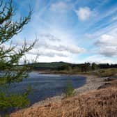 Galloway Forest Park