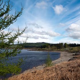 Galloway Forest Park