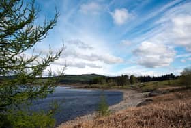 Galloway Forest Park