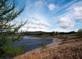 Galloway Forest Park