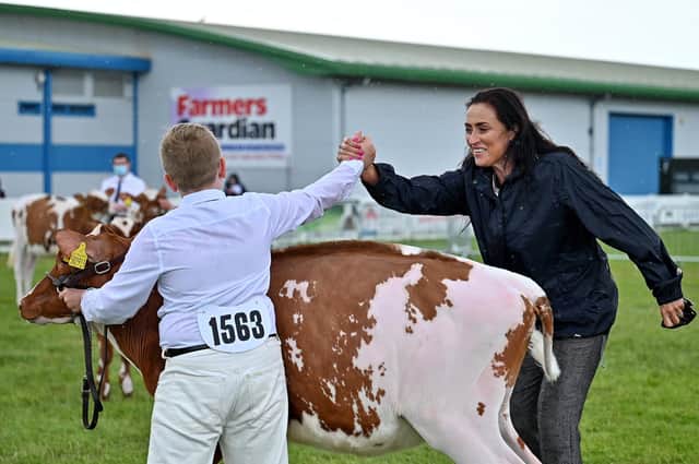 EDINBURGH, SCOTLAND - JUNE 19: The judge in the coloured dairy calves section congratulates the winner in the Royal Highland Show Case at Ingliston on July 19, 2021 in Edinburgh,Scotland. Thousands of people have logged on to watch live streaming of the Royal Highland Show, which is being held behind closed doors this year, usually up to 190,000 people would visit the agricultural show which is held over four days. (Photo by Jeff J Mitchell/Getty Images)
