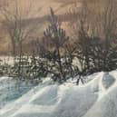 Snow Blown Garden, by Victoria Crowe