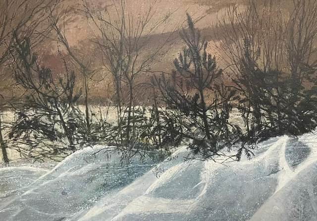 Snow Blown Garden, by Victoria Crowe