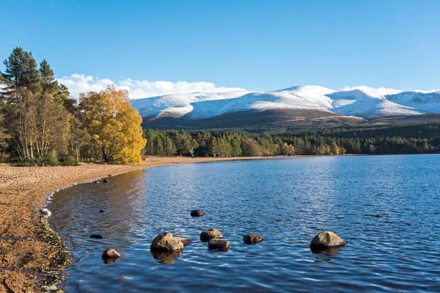 Daytime views in the Cairngorms are also stunning, here at Loch Morlich. Pic: PA Photo/Alamy.