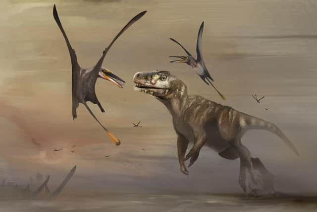 Experts have published evidence linking the Isle of Skye to the world's biggest Jurassic-era pterosaur. Image: Natalia Jagielska