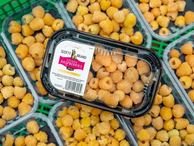 Exclusive to Asda - Scotty Brand and Bruce Farms' Scottish Grown Golden Raspberries