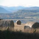Chan eil an t-slighe air adhart fhathast air a dhearbhadh