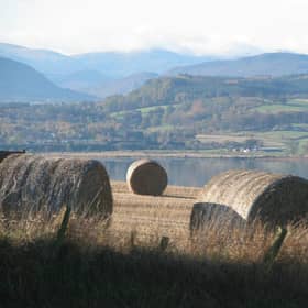 Chan eil an t-slighe air adhart fhathast air a dhearbhadh
