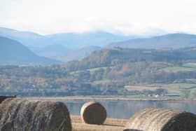 Chan eil an t-slighe air adhart fhathast air a dhearbhadh