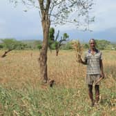 Bidale Phintsire, 56, an agro-pastoralist in Malle woreda, South Omo, shows his scorched maize crop. Bidale has six children.