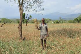Bidale Phintsire, 56, an agro-pastoralist in Malle woreda, South Omo, shows his scorched maize crop. Bidale has six children.